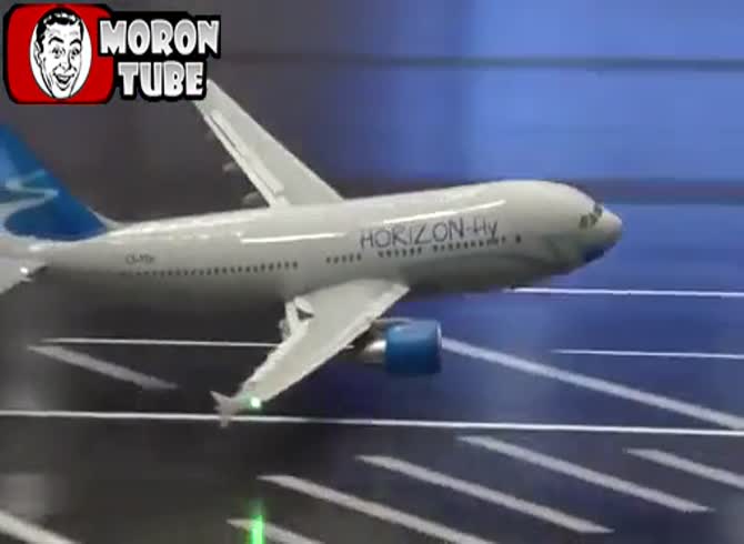 Video :The flying of an extremely lifelike little aircraft
